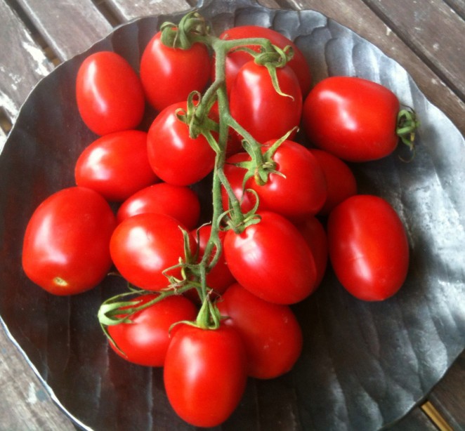 tomater på fat